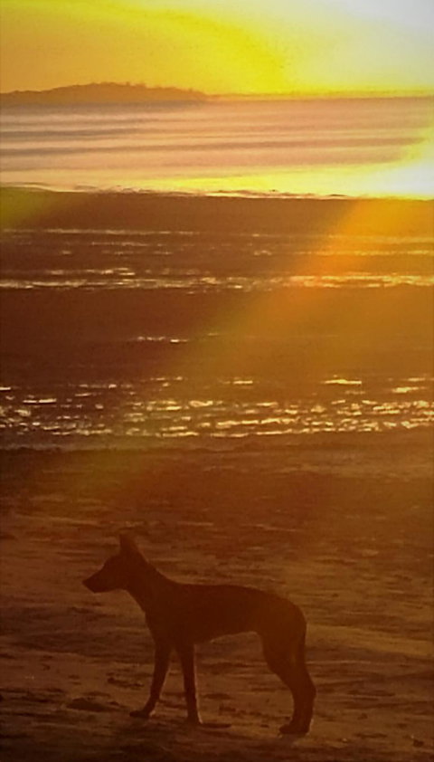 3-Day Fraser Island Resort Package - 1 Gold Coast 3