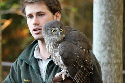 3-Day Fraser Island Resort Package - 1 Gold Coast 5