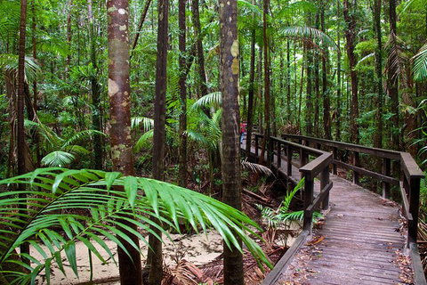 3-Day Fraser Island Resort Package - 1 Gold Coast 8