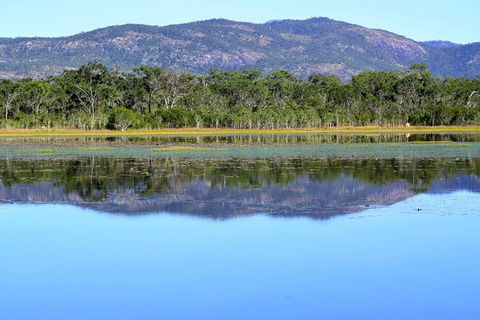 Daintree - Cape Tribulation & Atherton Tablelands Tours From Port Douglas - Accommodation Gold Coast 13