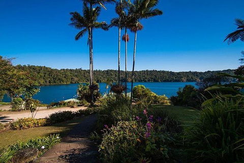 Daintree - Cape Tribulation & Atherton Tablelands Tours From Port Douglas - Accommodation Gold Coast 25