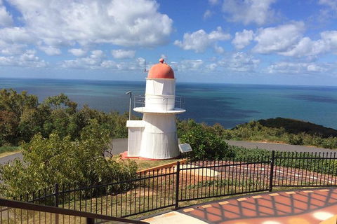 Daintree - Cape Tribulation & Atherton Tablelands Tours From Port Douglas - Accommodation Gold Coast 21