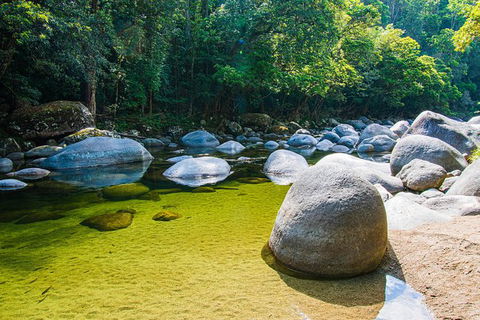 Daintree - Cape Tribulation & Atherton Tablelands Tours From Port Douglas - Accommodation Gold Coast 6