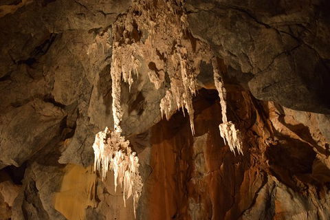 Daintree - Cape Tribulation & Atherton Tablelands Tours From Port Douglas - Accommodation Gold Coast 23