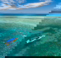 Ocean Safari Great Barrier Reef Experience in Cape Tribulation - Accommodation Gold Coast