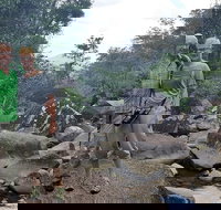 Personalised Private Platypus Land Tour - Accommodation Gold Coast