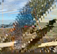 Goolimbil Walkabout Indigenous Experience in the Town of 1770 - Accommodation Gold Coast