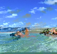 Horse Swimming Ride from Rainbow Beach - Accommodation Gold Coast