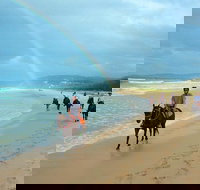 Rainbow Beach Horse Ride - Accommodation Gold Coast