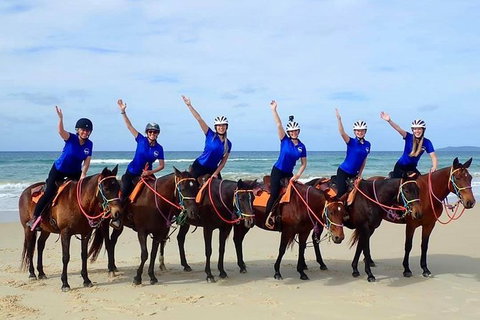 Rainbow Beach Horse Ride - Accommodation Gold Coast 4