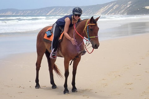 Rainbow Beach Horse Ride - Accommodation Gold Coast 2