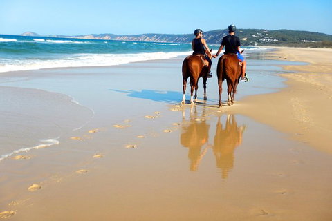 Rainbow Beach Horse Ride - Accommodation Gold Coast 3