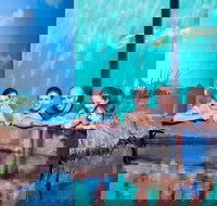 Reef HQ Great Barrier Reef Aquarium General Entry Ticket - Accommodation Gold Coast