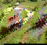 Country Day Ride from Mt Goomboorian with Rainbow Beach Horse Rides - Accommodation Gold Coast