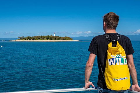 Half Day Low Isles Snorkelling Tour From Port Douglas - Accommodation Gold Coast 1