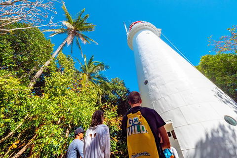 Half Day Low Isles Snorkelling Tour From Port Douglas - Accommodation Gold Coast 7