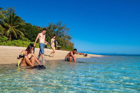 Half Day Low Isles Snorkelling Tour From Port Douglas - Accommodation Gold Coast 2