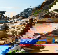 Orpheus Island Day Trip by Helicopter from Townsville - Accommodation Gold Coast