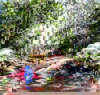 Rainforest Platypus Night Dive Certified Divers Only once day dive completed - Accommodation Gold Coast