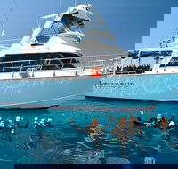 Great Barrier Reef Cruise from Townsville or Magnetic Island - Accommodation Gold Coast