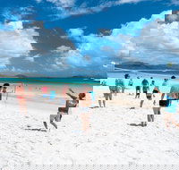 Whitehaven Beach and Hamilton Island Cruise - Accommodation Gold Coast