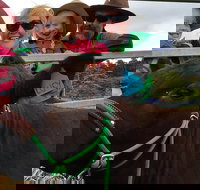 Mackay's Day in the Clouds Paddock to Plate Tour - Accommodation Gold Coast