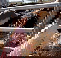 Mackay Farm Food and Flavours Tour - Accommodation Gold Coast