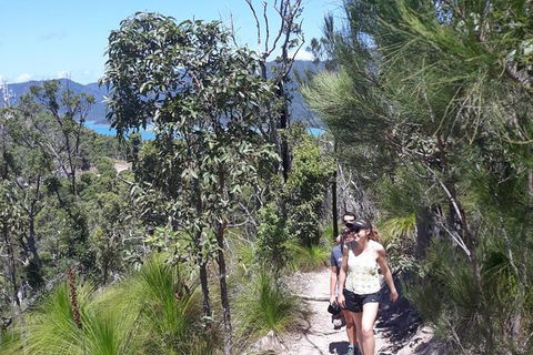 Scenic Guided Walk Up Mt Rooper For Best Whitsunday Views From Airlie Beach - Accommodation Gold Coast 1
