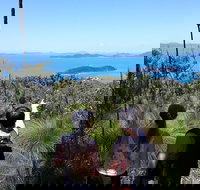 Scenic Guided Walk up Mt Rooper for Best Whitsunday Views from Airlie Beach - Accommodation Gold Coast