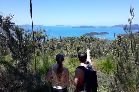 Scenic Guided Walk Up Mt Rooper For Best Whitsunday Views From Airlie Beach - Accommodation Gold Coast 0