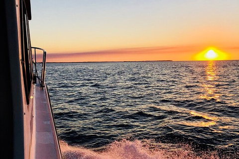 Hervey Bay Whale Swim And Watch - Accommodation Gold Coast 7