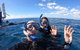 Hervey Bay Whale Swim And Watch - thumb 4