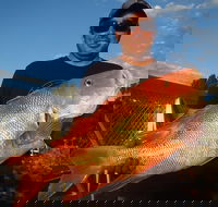 Whitsunday Islands and Great Barrier Reef Fishing Charters - Accommodation Gold Coast