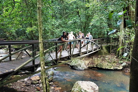 Springbrook Half Day Tour - 1 Gold Coast 1