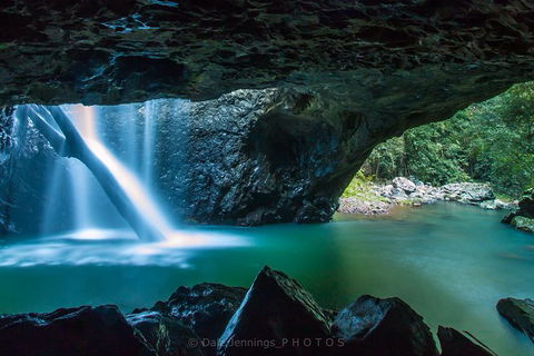 Springbrook Half Day Tour - 1 Gold Coast 0
