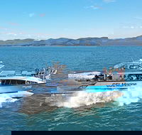 Whitsunday Island Boat Adventure - Accommodation Gold Coast