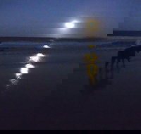 Full Moon Horse Ride at Rainbow Beach - Accommodation Gold Coast