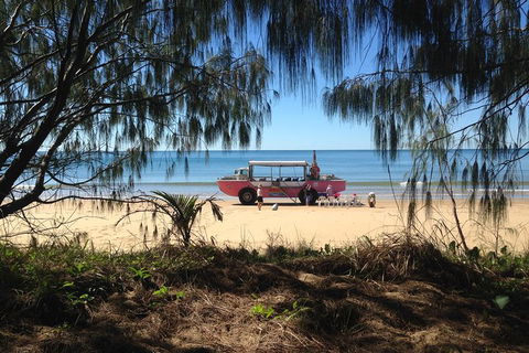 1770 Coastline Tour By LARC Amphibious Vehicle Including Picnic Lunch - 1 Gold Coast 0