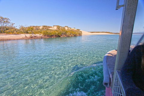 1770 Coastline Tour By LARC Amphibious Vehicle Including Picnic Lunch - 1 Gold Coast 12