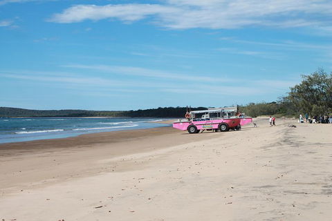 1770 Coastline Tour By LARC Amphibious Vehicle Including Picnic Lunch - 1 Gold Coast 6