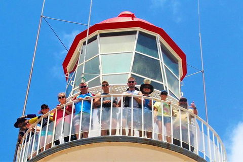 Full-Day 1770 Tour By LARC Amphibious Vehicle Including Sandboarding And Bustard Head Lightstation - Accommodation Gold Coast 4