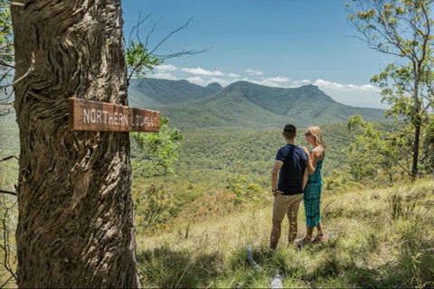 Queensland Food Tour: The Ultimate Delectable Full Day Experience - Accommodation Gold Coast 1