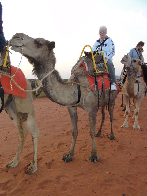 Uluru Small-Group Tour By Camel At Sunrise Or Sunset - Accommodation Gold Coast 2