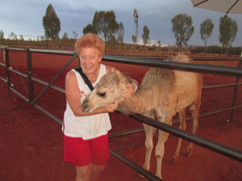 Uluru Small-Group Tour By Camel At Sunrise Or Sunset - Accommodation Gold Coast 18