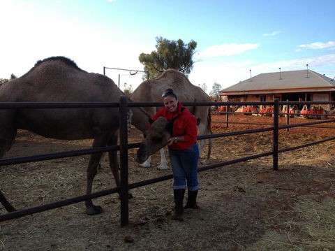 Uluru Small-Group Tour By Camel At Sunrise Or Sunset - Accommodation Gold Coast 21