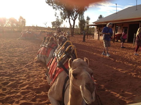 Uluru Small-Group Tour By Camel At Sunrise Or Sunset - Accommodation Gold Coast 22