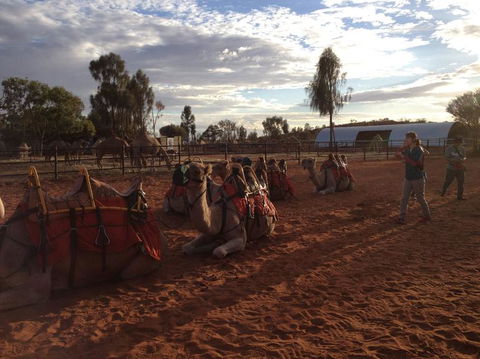 Uluru Small-Group Tour By Camel At Sunrise Or Sunset - Accommodation Gold Coast 23
