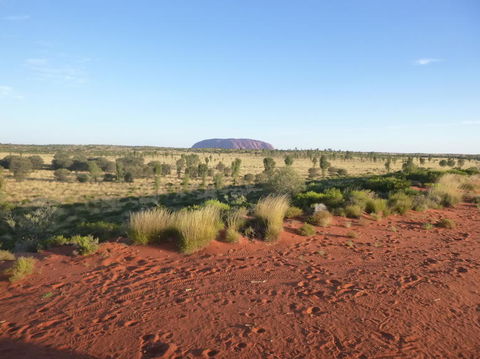 Uluru Small-Group Tour By Camel At Sunrise Or Sunset - Accommodation Gold Coast 9