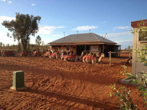 Uluru Small-Group Tour By Camel At Sunrise Or Sunset - Accommodation Gold Coast 19