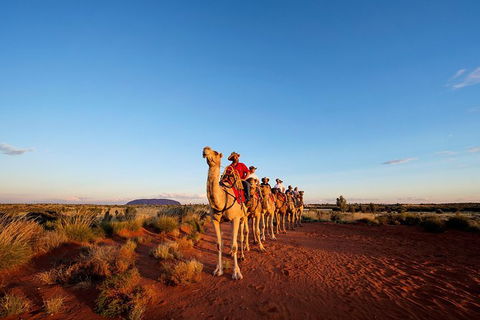Uluru Small-Group Tour By Camel At Sunrise Or Sunset - Accommodation Gold Coast 26